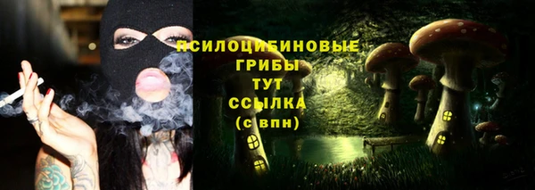 хмурый Видное