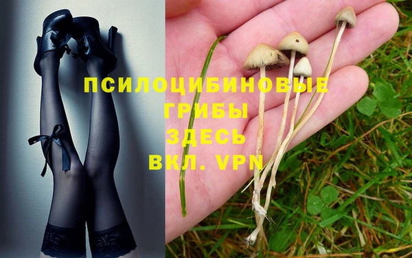 таблы Переславль-Залесский