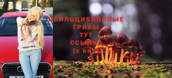 кокс Пестово